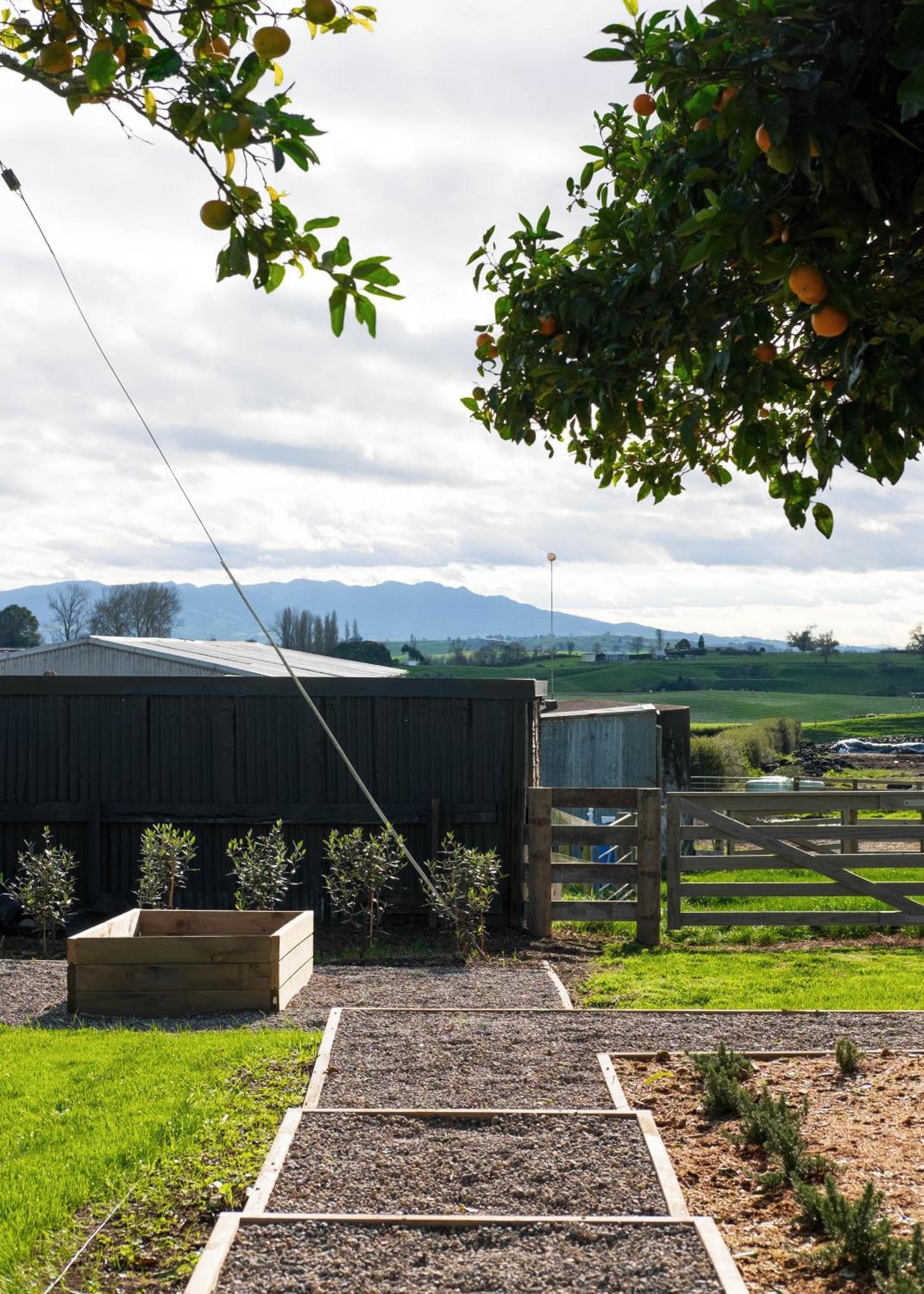 Willow View Cottage - Beautiful Farm Views Close To Waitomo オトロハンガ エクステリア 写真
